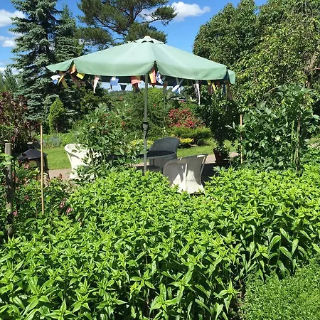 Box Bed & Breakfast 3*